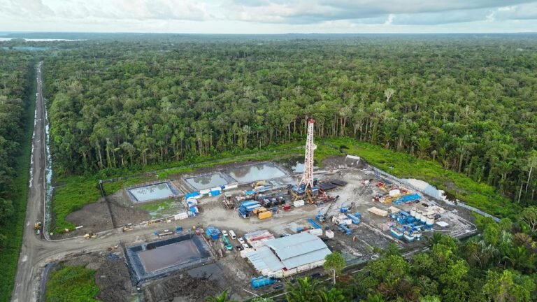 Ketahanan Energi Papua Dipercepat Lewat Kebijakan Terpadu