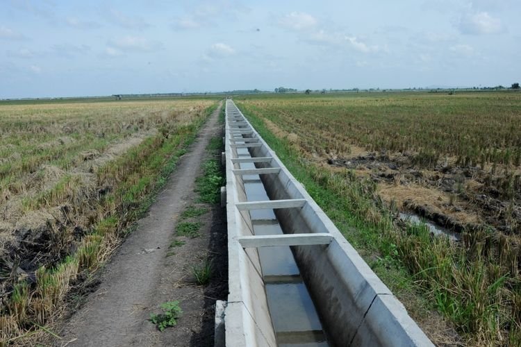 Modernisasi Infrastruktur Irigasi Melalui Pendekatan 3T Perkuat Sektor Pertanian