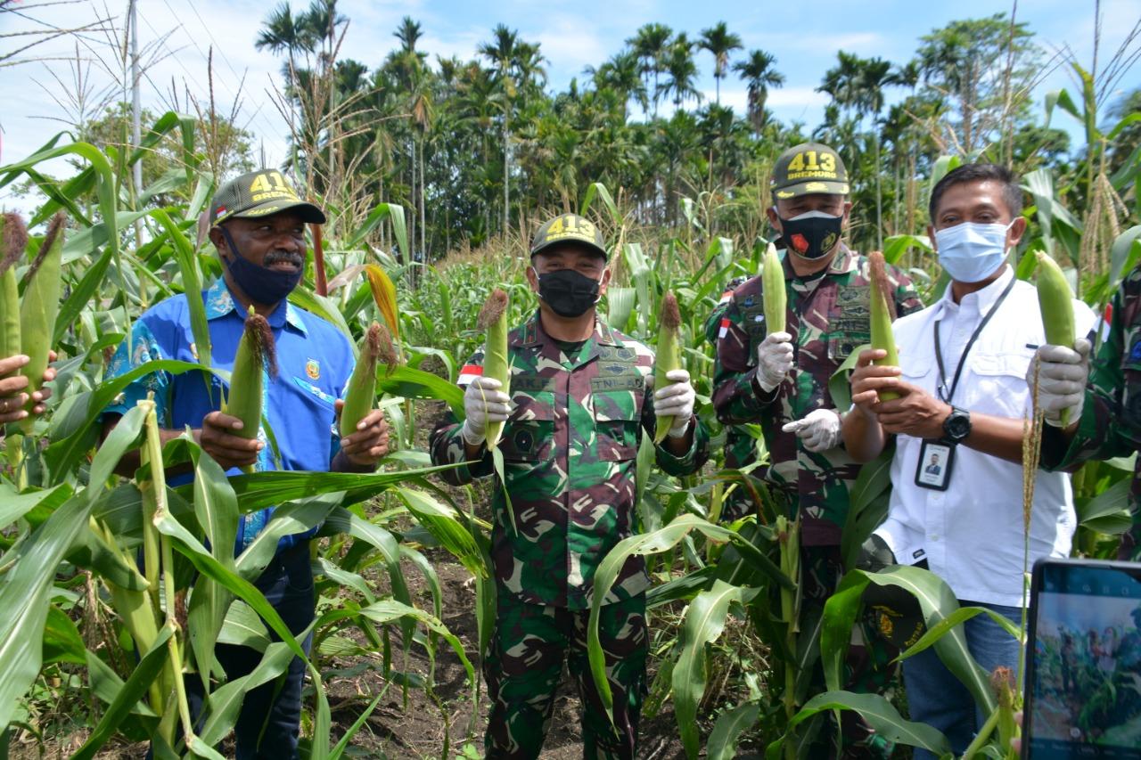 Swasembada Pangan Papua Kian Menguat, Petani Lokal Antusias Dukung Program Cetak Sawah