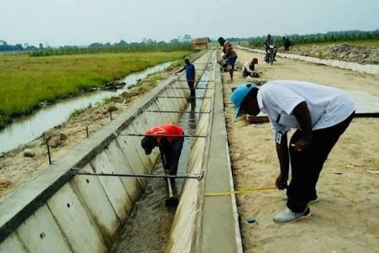 Revitalisasi Irigasi Daerah Percepat Terwujudnya Swasembada Pangan Nasional
