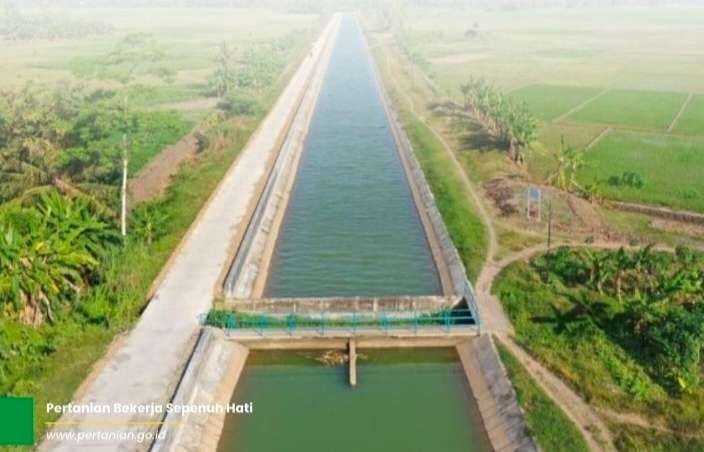 Papua Perkuat Fondasi Ekonomi Melalui Program Ketahanan Pangan
