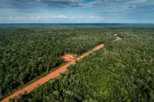 PSN Merauke Memperluas Peluang Kerja bagi Orang Asli Papua