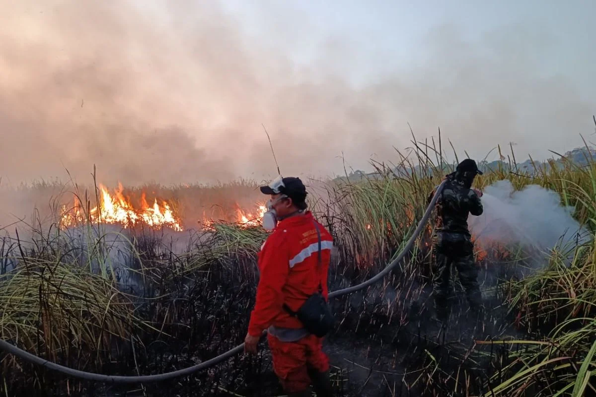 Penanganan Karhutla Sumatra hingga Papua, Cepat, Terpadu, dan Tegas