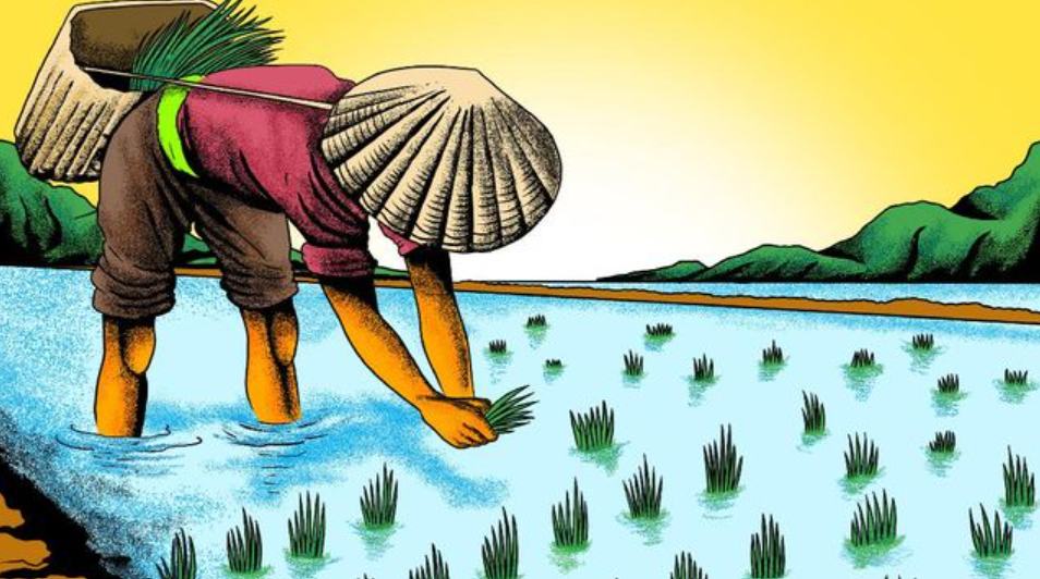 Cadangan Beras Aman, Pemerintah Siapkan Antisipasi El Nino